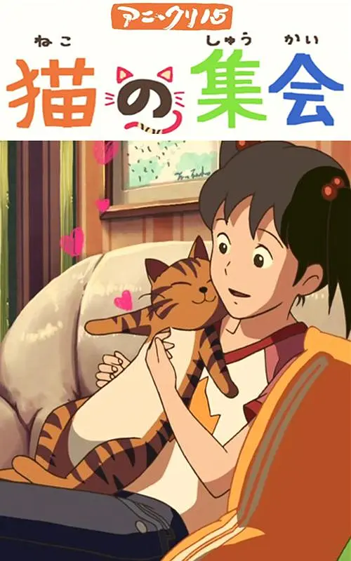BD高清免费观看