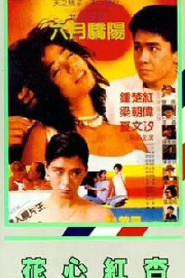 1080P高清完整版播放