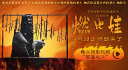 手机在线观看