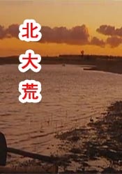 免费高清在线观看