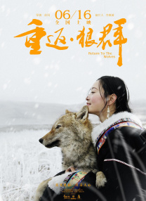 DVD高清完整版